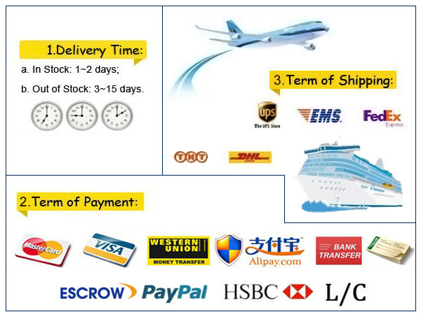 autoart Carbon Fibre Vinyl.jpg