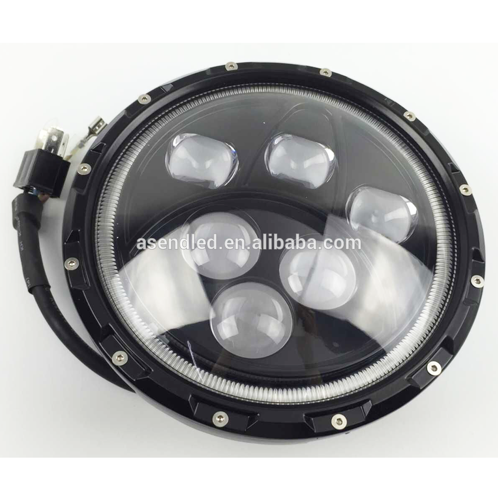 ASJP-7--HL05      11