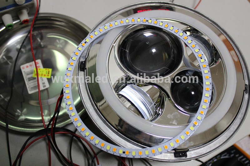 Angle eye (Amber).jpg