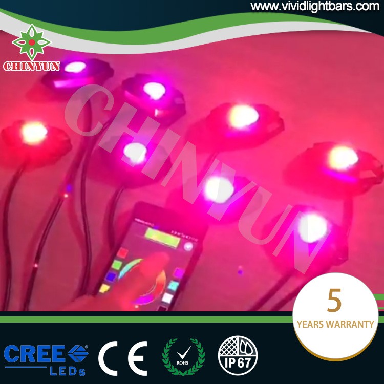 led rock light