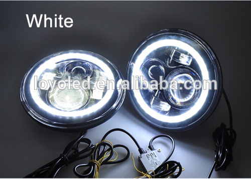 Headlight white.jpg