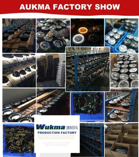 922845_1661314097490098_8761544264366616030_n