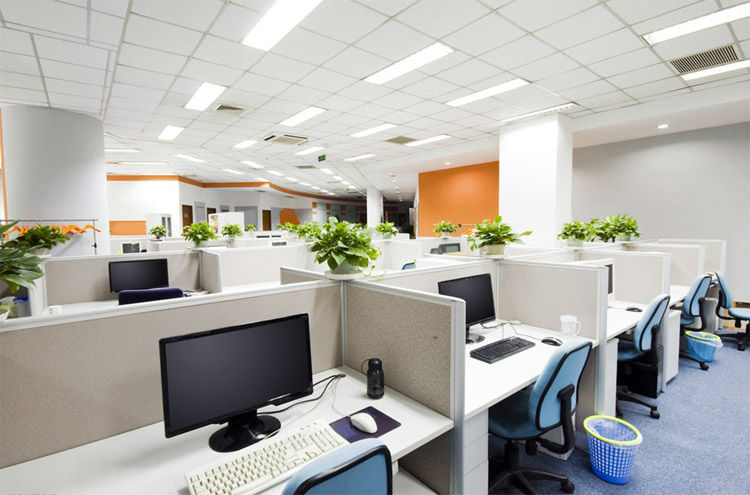 working place 750.jpg