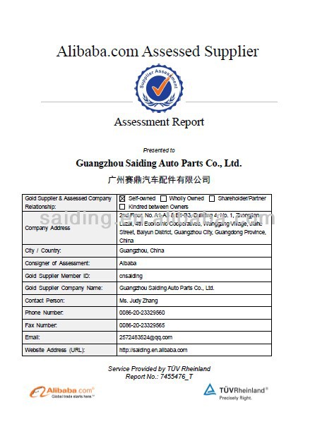 Assessment Report