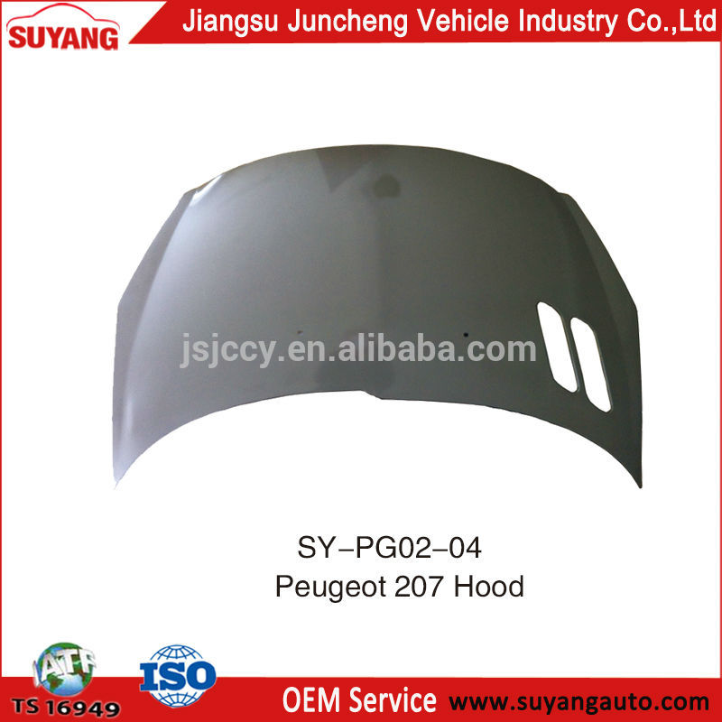 SY-PG02-04 Hood.jpg