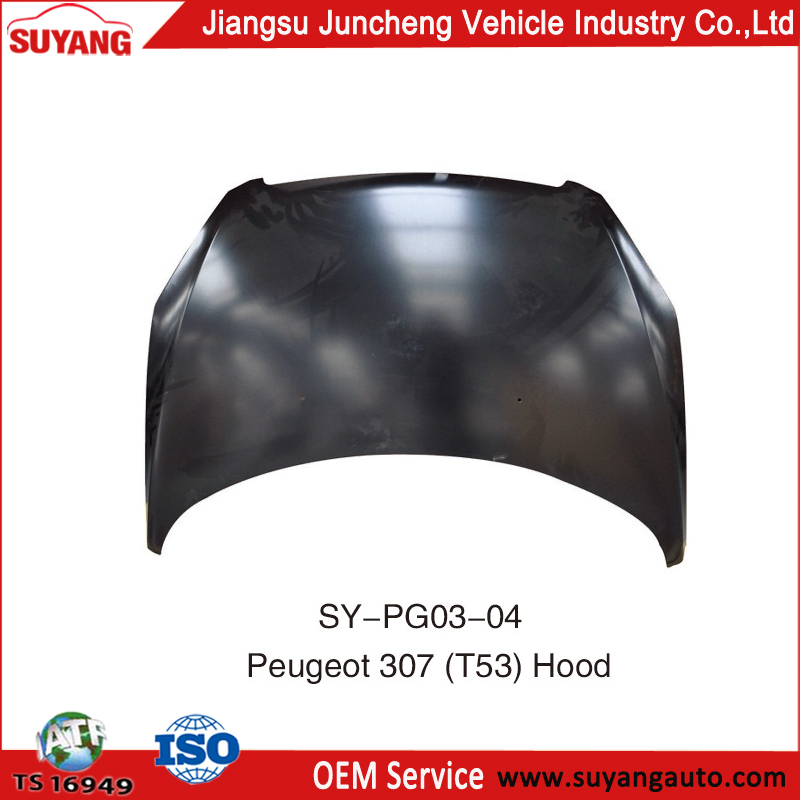 SY-PG03-04 Hood.jpg