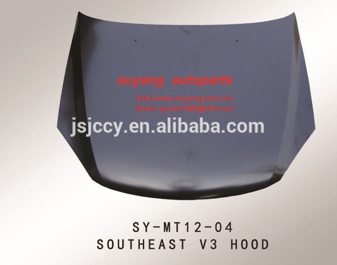 Mitsubishi southeast lioncel V3 Hood.jpg