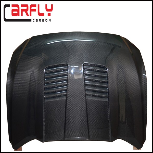 carfly hood.jpg