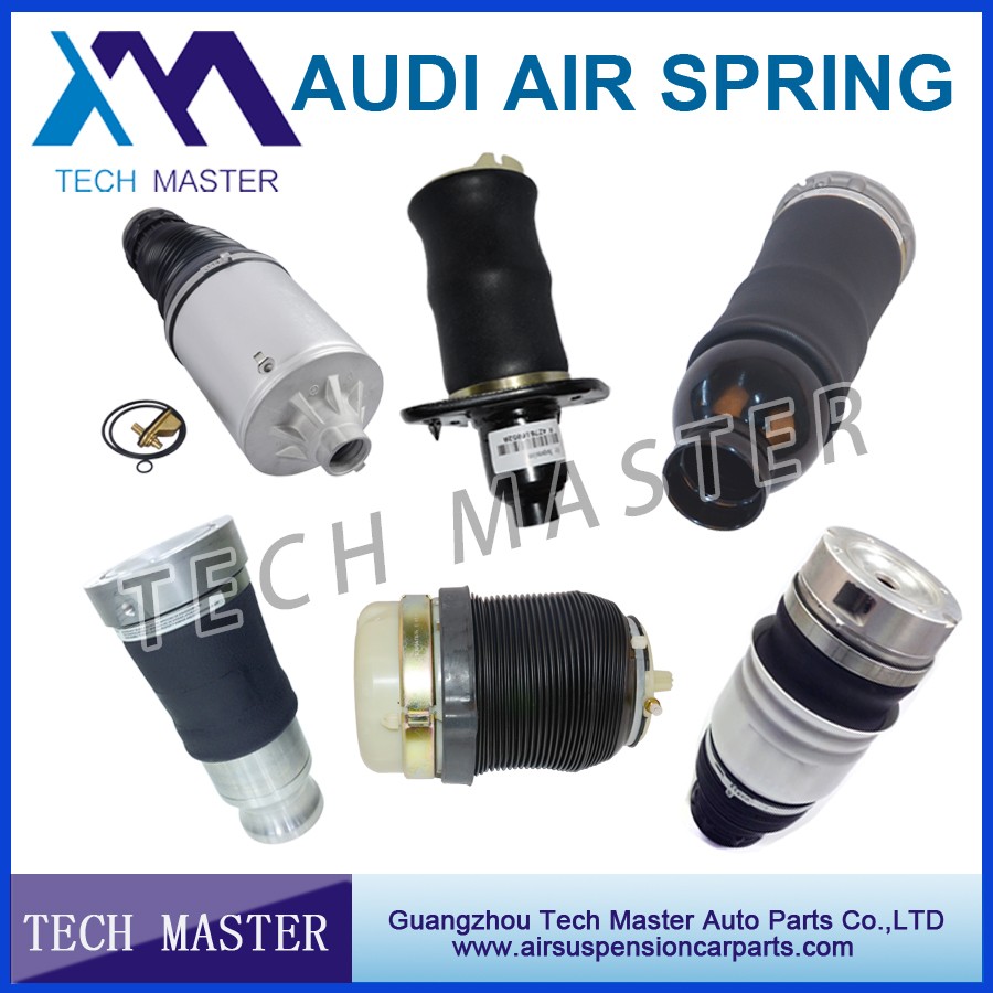 audi air spring.jpg