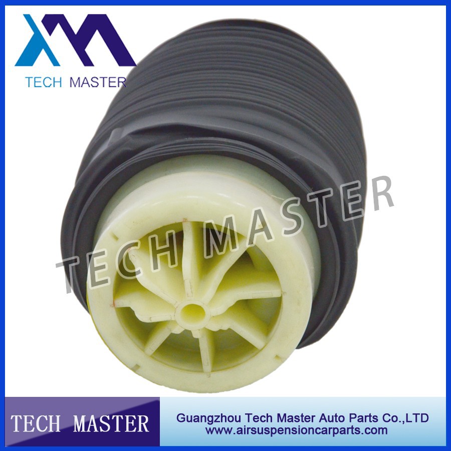 mercedes W212 S212 air spring.jpg