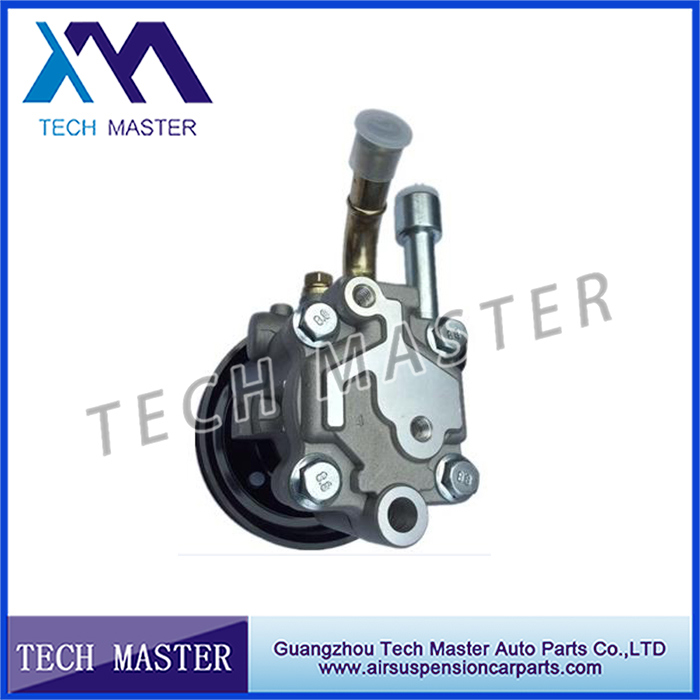 power steering pump for Navara D40T (1).jpg
