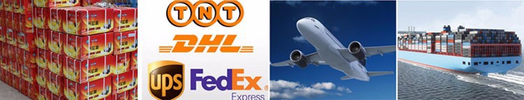 12 hp S195 diesel motor parts air filter assy manufacturer