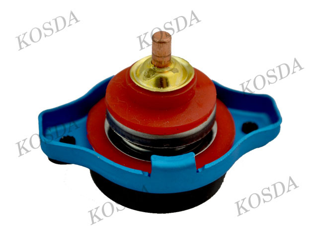 D1 Spec Radiator Cap 2