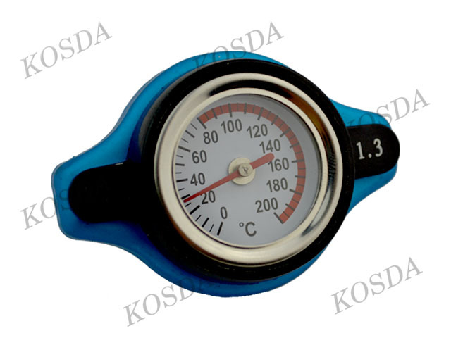 D1 Spec Radiator Cap 1