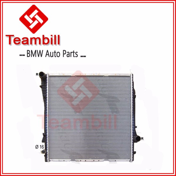 17111439102  X5 E53 MT.jpg