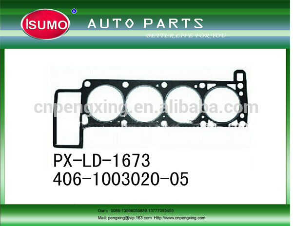 Cylinder Head Gasket.jpg