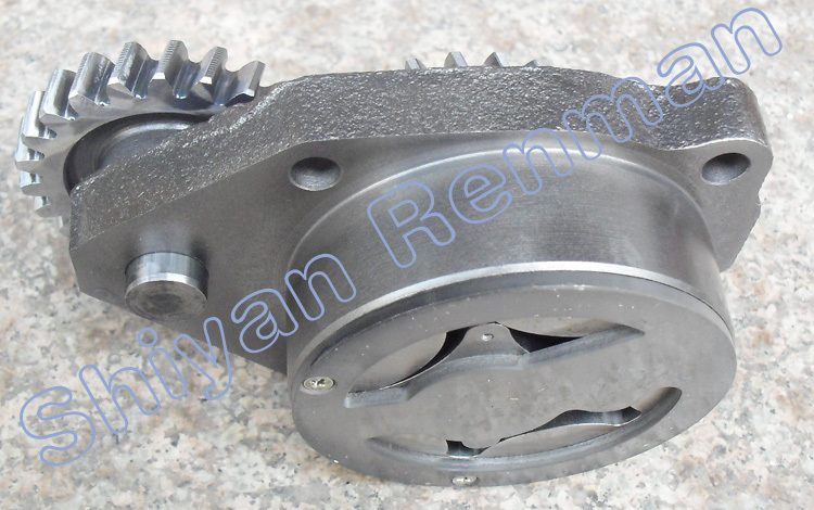 3800828 3415365-4.jpg