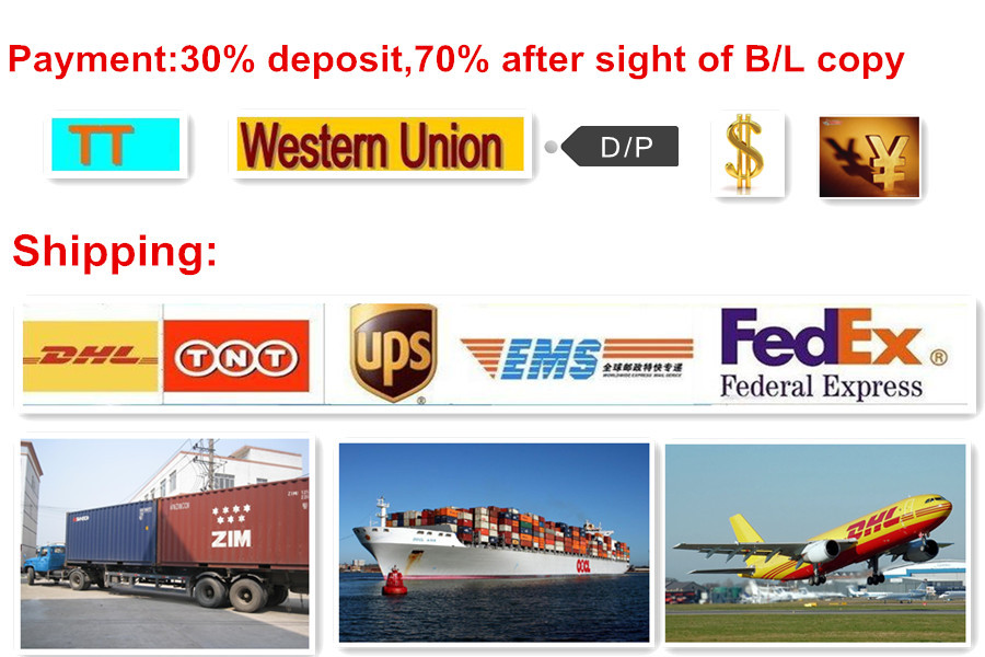 shipping and payment