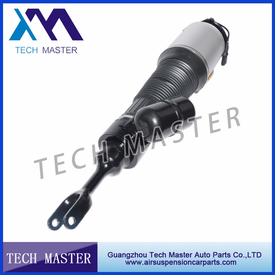 shock absorber for vw phaeton.jpg