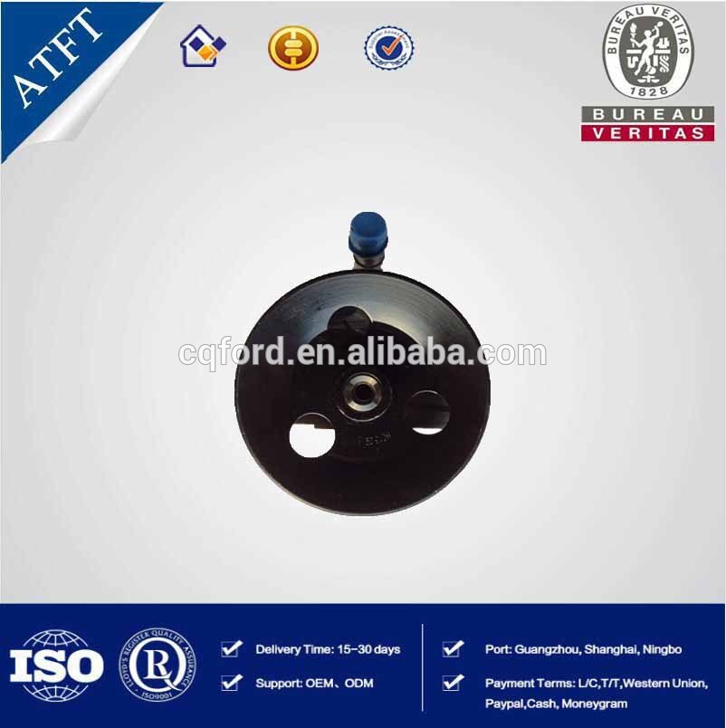 Steering Pump for Ford Fiesta.jpg