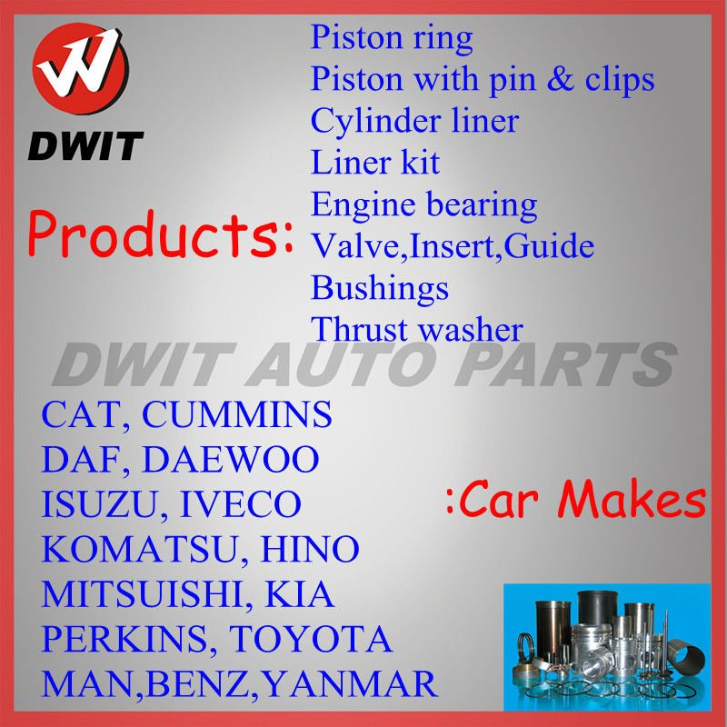 DWIT INFO