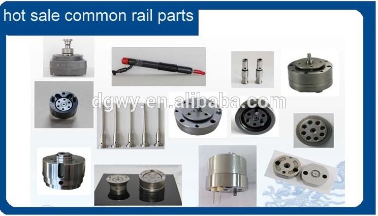 common rail parts.jpg