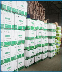 High Qaulity Diesel Generator Air Filter Element Assy