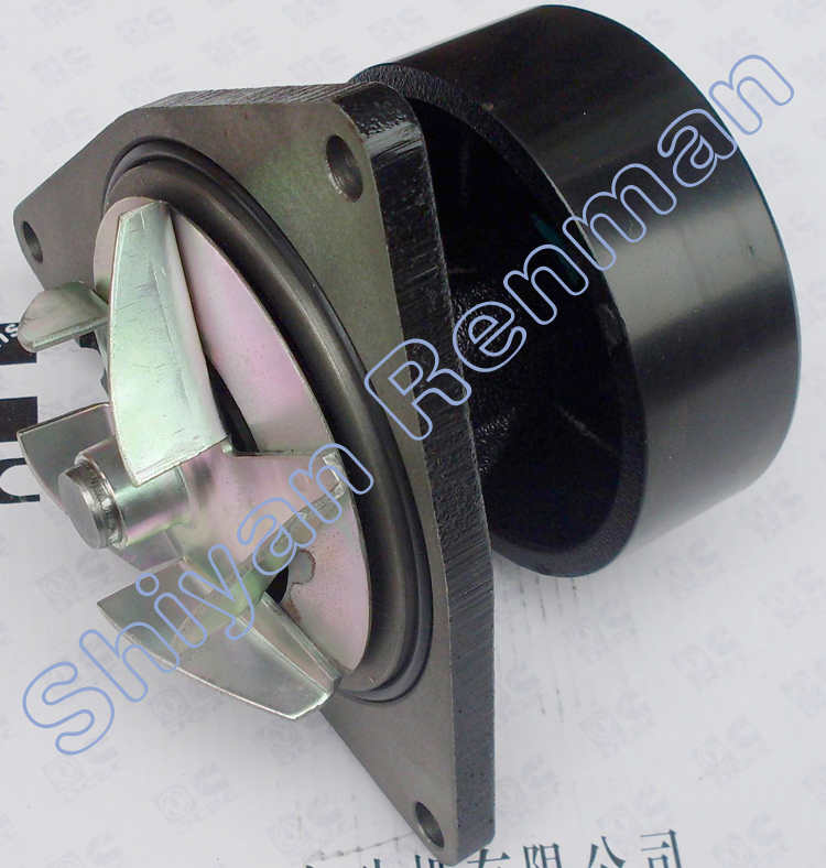 4934058 3973114-5.jpg