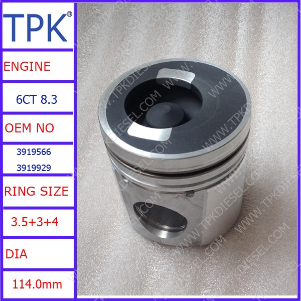 6CT 8.3 PISTON 3919566 3919929 3802280.jpg