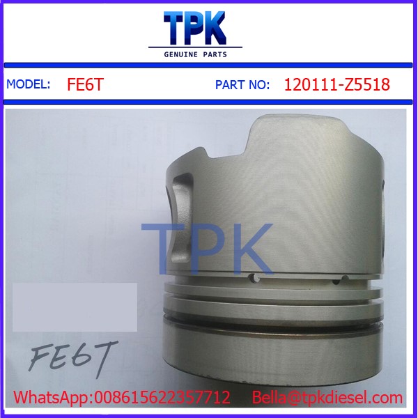 FE6T PISTON SKIRT 12011-Z5518.jpg