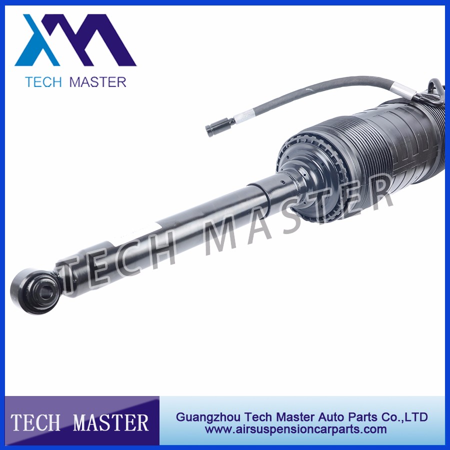 mercedes W221 ABC shock strut.jpg