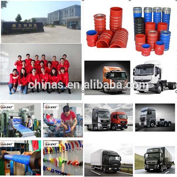 Silicone humps hose.jpg