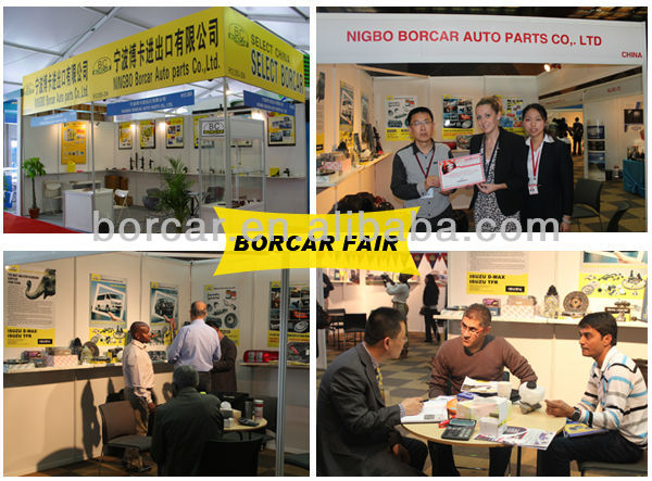 Borcar fair.jpg