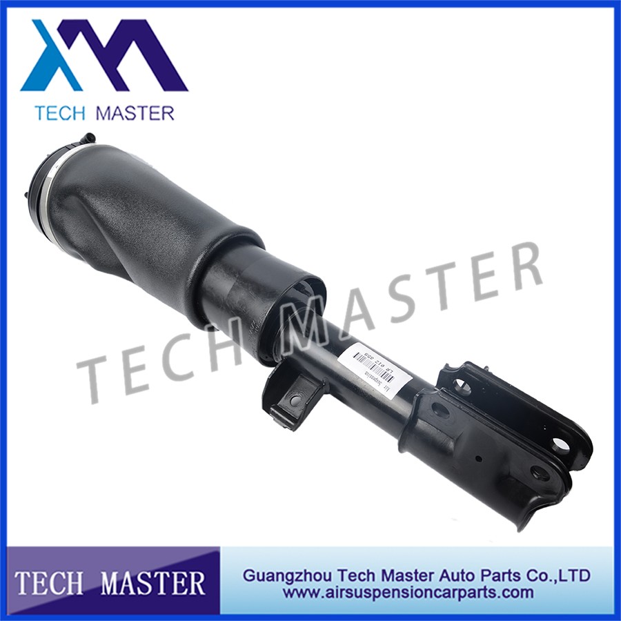 Land Rover Range Rover Air Shock Absorber.jpg