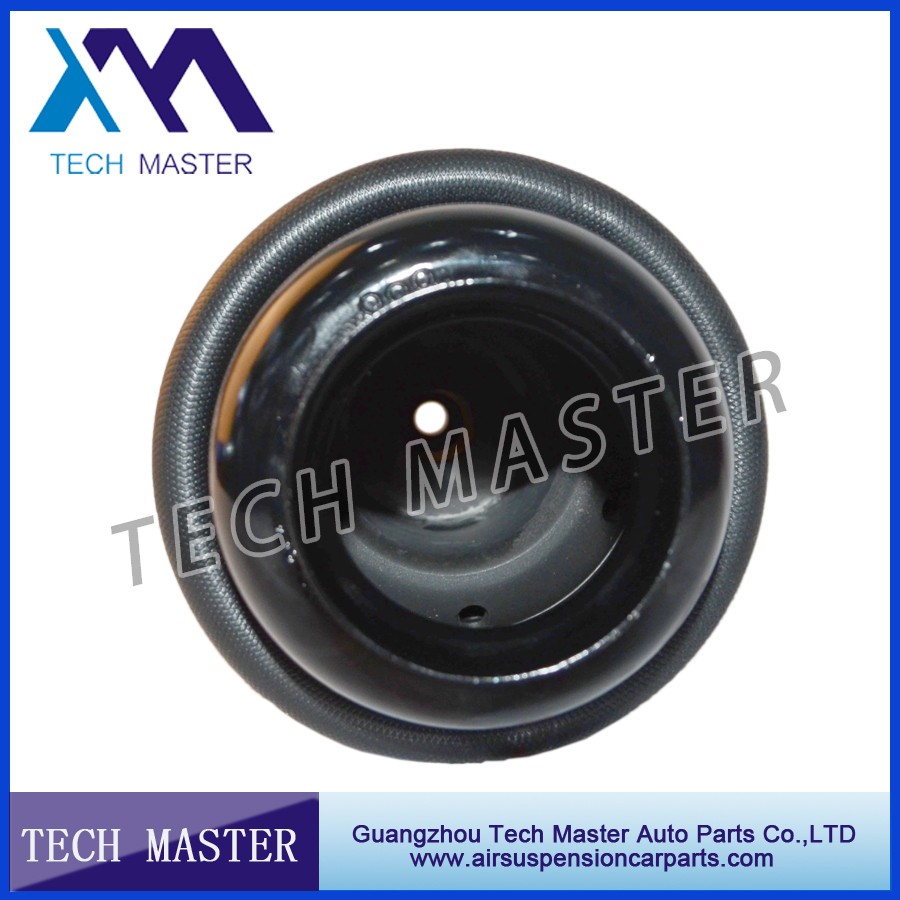 air spring for mercedes W251.jpg