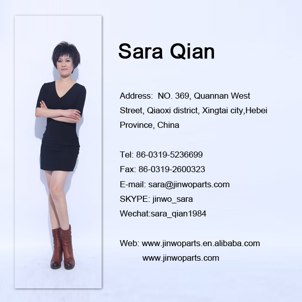 Sara Qian112.jpg