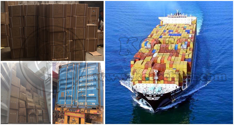 shipping with logo.jpg