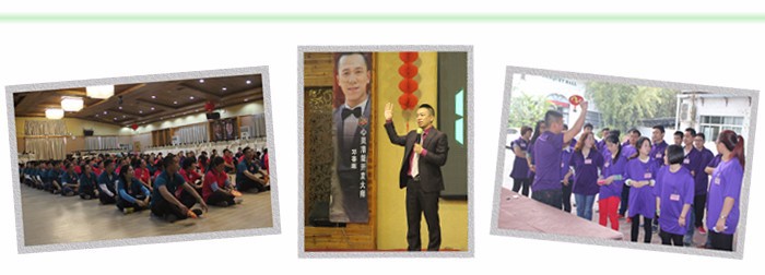  white led auto light 