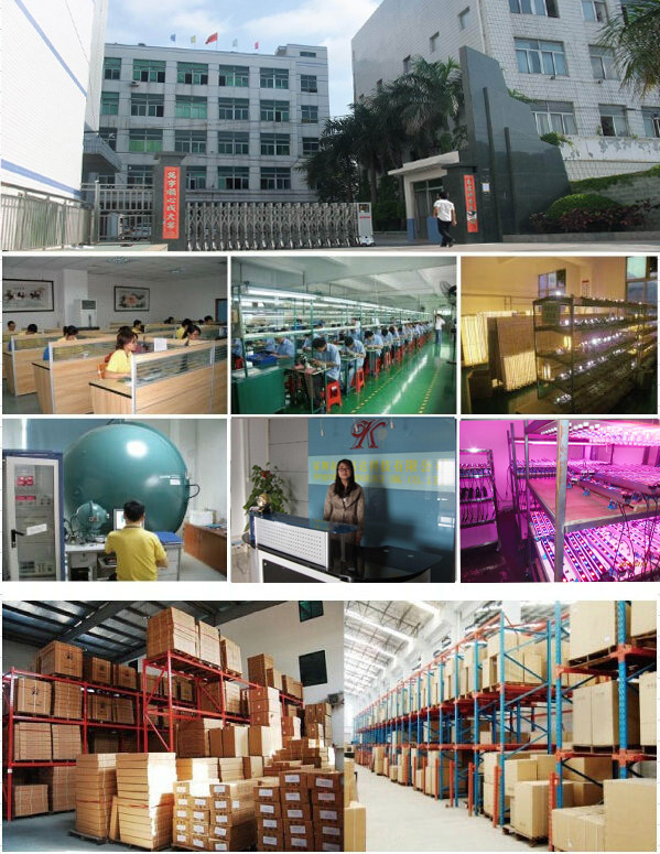 kingroll factory 20160801