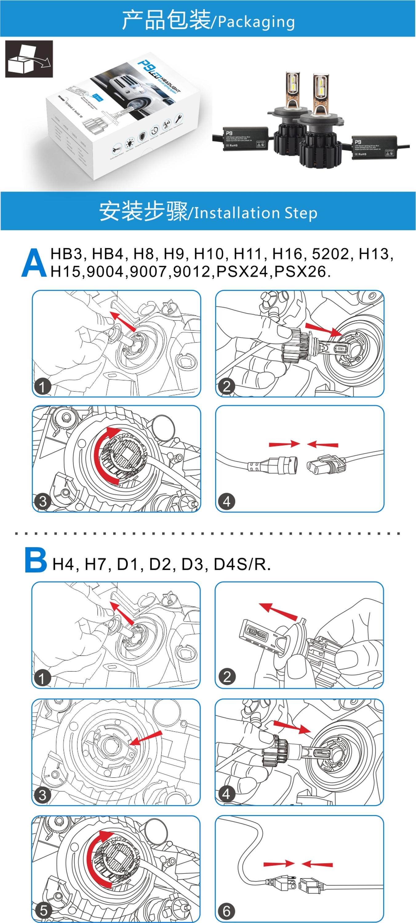 P9.jpg