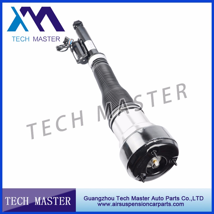 mercedes s class w221 shock absorber.jpg