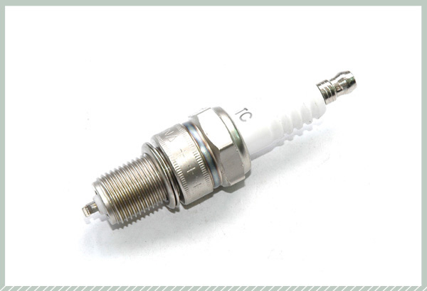 Spark Plug.jpg