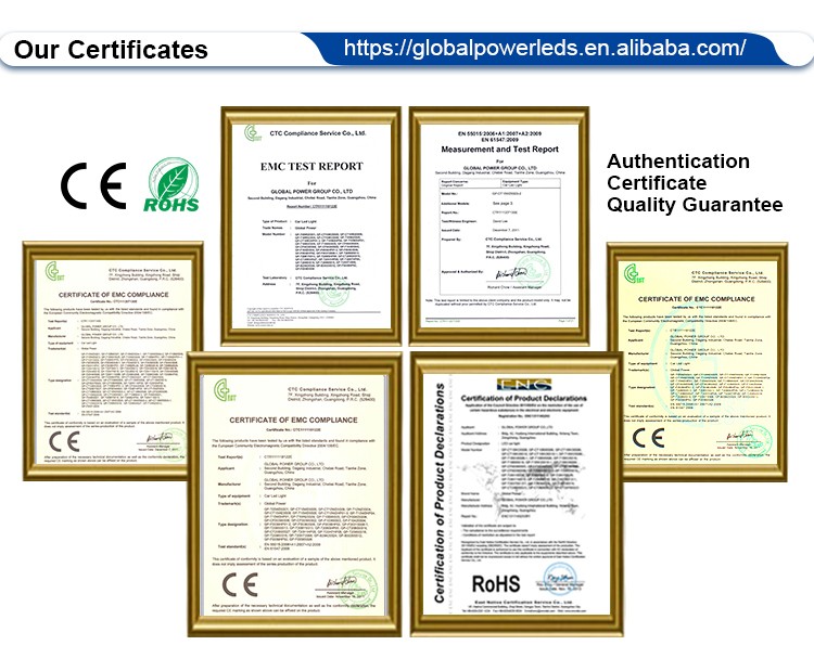 Company information 01 (3).jpg