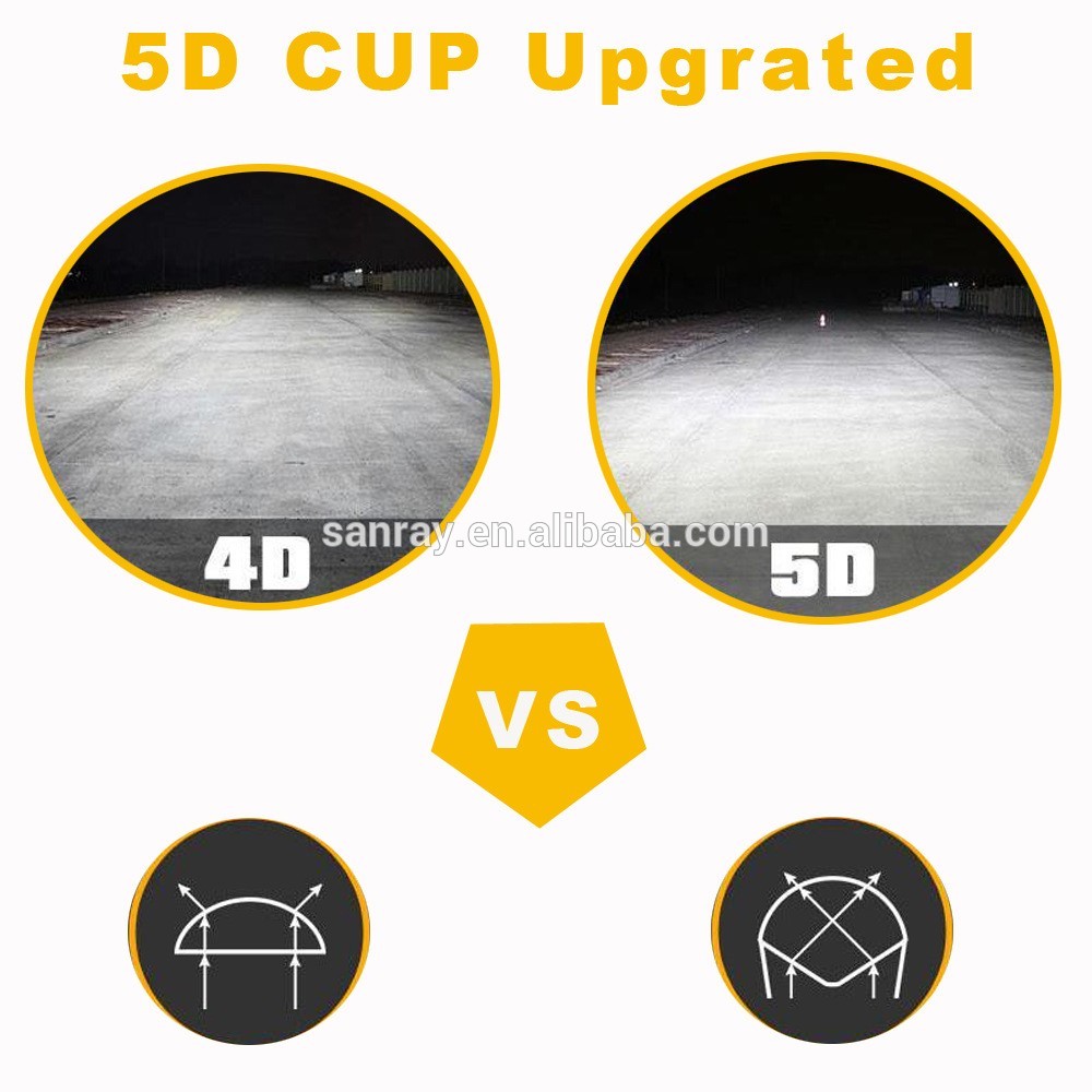 3157784781_732006246