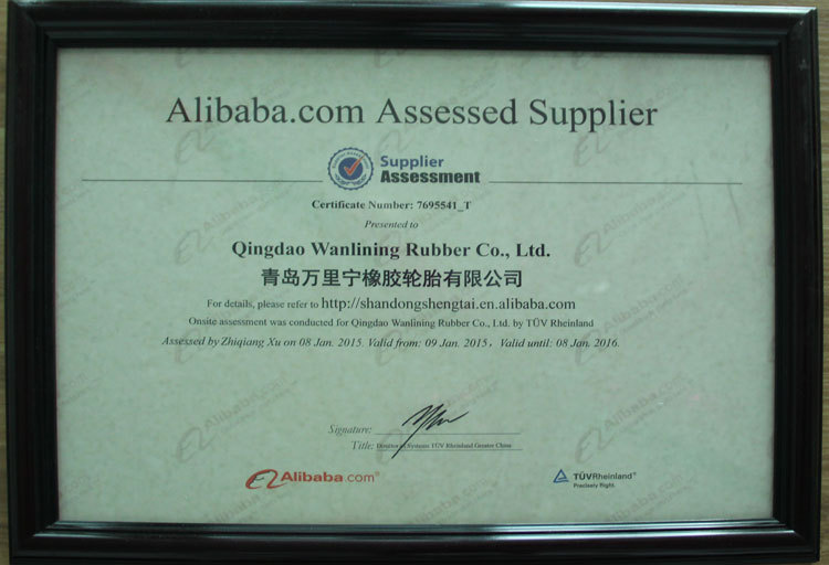 supplier assessment2.jpg